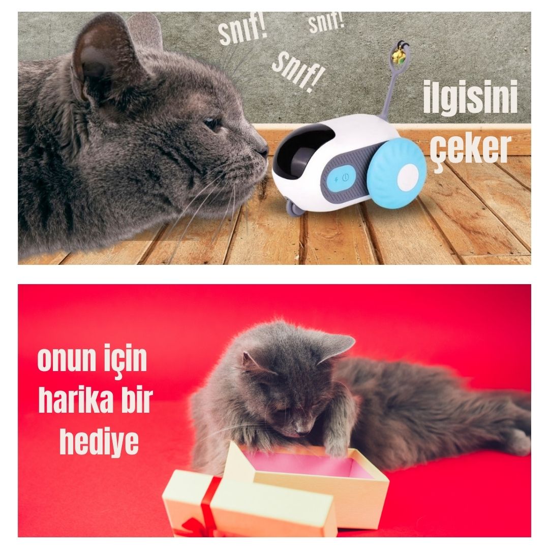 Turbo Kedi Aracı