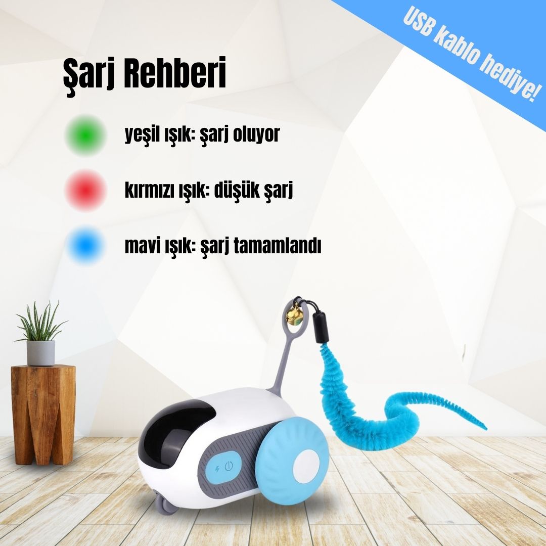 Turbo Kedi Aracı