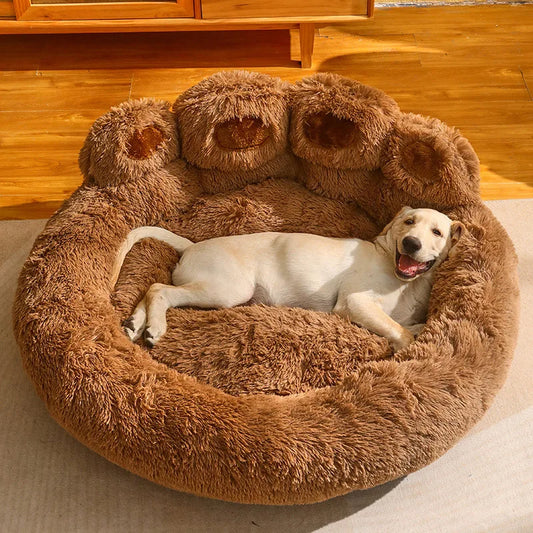Pati Köpek Yatağı