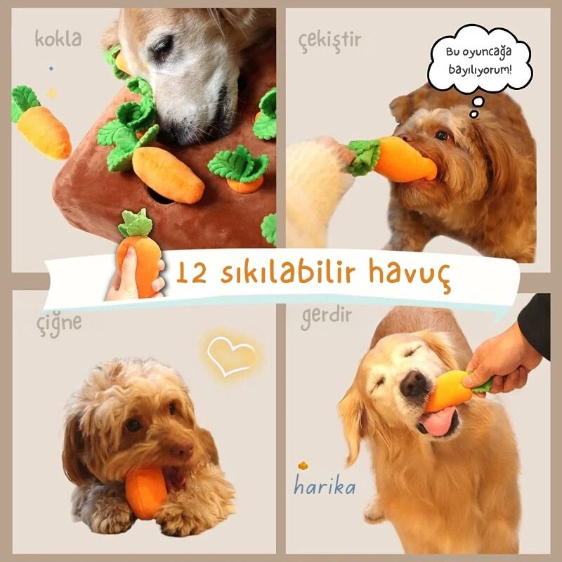 Mama Avı Havuç Seti