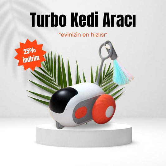 Turbo Kedi Aracı