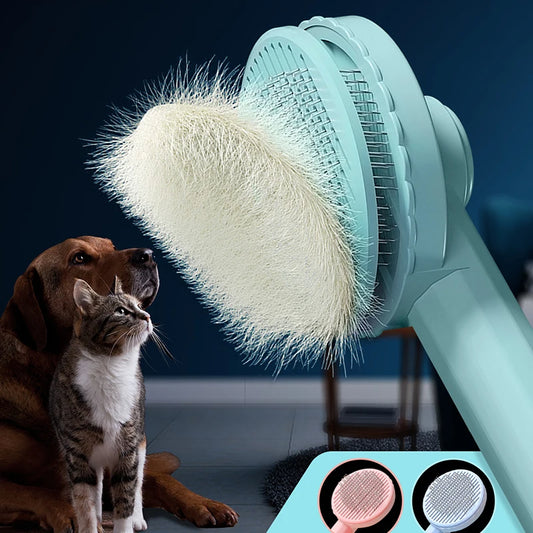 Kedi-Köpek Fırçası