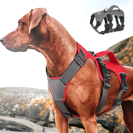 Köpek Tasmalı Yelek