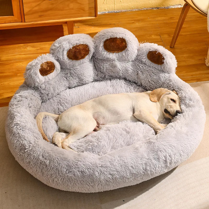 Pati Köpek Yatağı