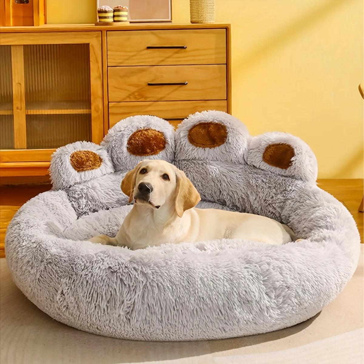 Pati Köpek Yatağı