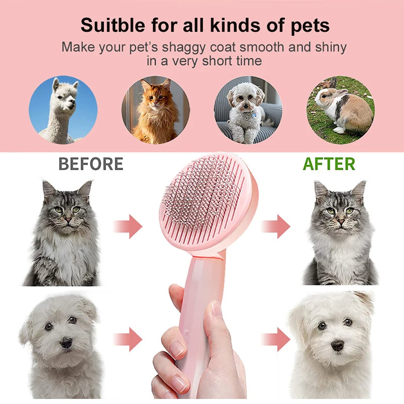 Kedi-Köpek Fırçası
