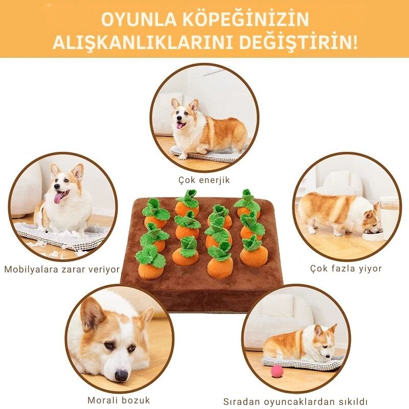 Mama Avı Havuç Seti