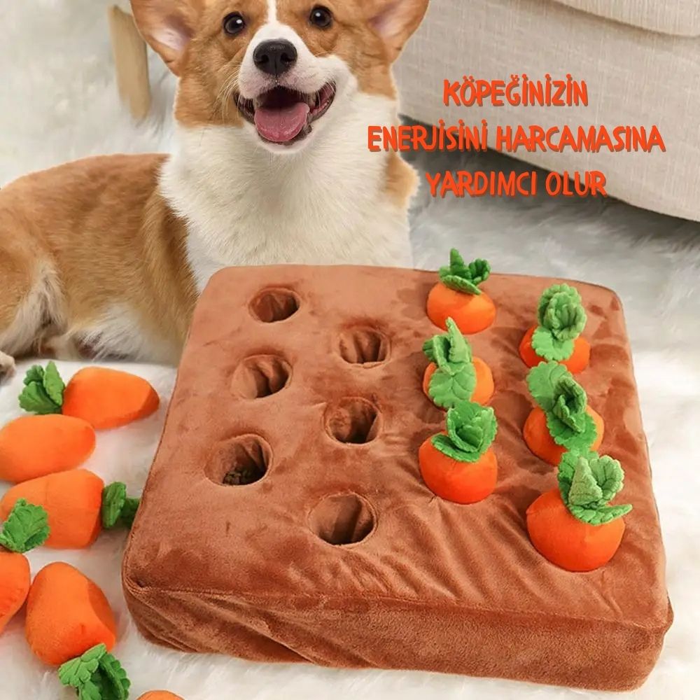 Mama Avı Havuç Seti