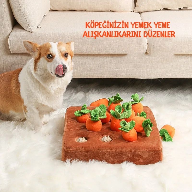 Mama Avı Havuç Seti